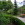 Villa Gundula 