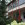Villa Gundula 